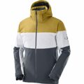 Casaco de Esqui Salomon Slalom Cinzento Homem XL