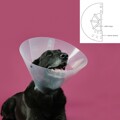 Colar Isabelino para Cães Kvp Betsy Transparente (63-78 cm)
