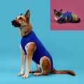 T-shirt de Recuperação de Animais Kvp Azul (21-24 cm)