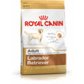 Penso Royal Canin Labrador Retriever Adult 12 kg Adultos Adulto