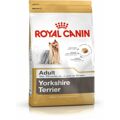 Penso Royal Canin Yorkshire Terrier Adult Adulto 1,5 kg