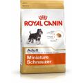 Penso Royal Canin Miniature Schnauzer Adulto 3 kg