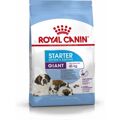 Penso Royal Canin Giant Starter Mother & Babydog 15 kg