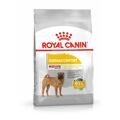 Penso Royal Canin Adulto Carne 12 kg