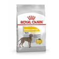 Penso Royal Canin Adulto Carne 12 kg