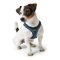 Arnês para Cães Hunter Hilo-comfort Azul Tamanho M (55-60 cm)
