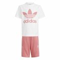 Conjunto Desportivo para Crianças Adidas Trifolio Branco 6-7 Anos