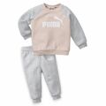 Fato de Treino para Bebé Puma Minicat Essentials Cinzento 4-6 Meses