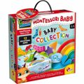 Jogo Educativo Lisciani Giochi Baby Collection (fr) Multicolor