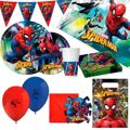 Conjunto Artigos de Festa Spiderman 66 Peças