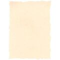 Parchment Paper Michel A4 25 Unidades