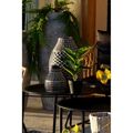 Planta Decorativa Dkd Home Decor Preto Verde Pvc Pp (25 X 25 X 30 cm)