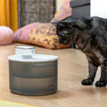 Fonte para Gatos Recarregável com Sensor Refopet Innovagoods