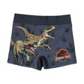 Calções de Banho Boxer para Meninos Jurassic Park Cinzento Escuro 6 Anos