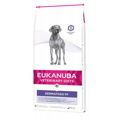 Penso Eukanuba Dermatosis Fp For Dogs Peixe Adulto 12 kg