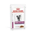 Comida para Gato Royal Canin Frango Peixe