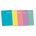 Caderno Enri Pastel Quarto 80 Folhas (5 Unidades)