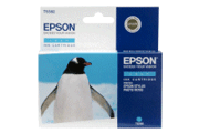 Tinteiro Epson Azul C13T55924020