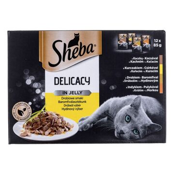 Comida para Gato Sheba Delicacy In Jelly Frango Peru Pato Pássaros