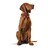 Coleira para Cães Hunter Swiss Vermelho/preto (38-43.5 cm)