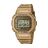 Relógio Masculino Casio DWE-5600HG-1ER