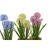 Planta Decorativa Dkd Home Decor Espuma Azul Cor de Rosa Amarelo Polipropileno 15 X 15 X 30 cm (3 Peças)