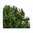 Coroa de Natal Everlands 680454 Verde (ø 35 cm)