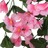 Grinaldas de Flores Artificiais 3 pcs 85 cm Rosa