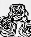 Capa Nórdica Devota & Lomba Rosas Cama de 180 (260 X 220 + 45 cm)