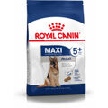 Penso Royal Canin Maxi Adult 5+ Adulto Arroz Pássaros 15 kg
