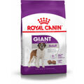 Penso Royal Canin Giant Adult 15 kg