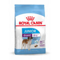 Penso Royal Canin Giant Junior 15 kg