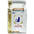 Comida para Gato Royal Canin Gastro Intestinal Moderate Calorie Adulto Arroz Pássaros 4 kg