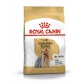 Penso Royal Canin Yorkshire Terrier Adulto Pássaros 3 kg