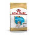 Penso Royal Canin Cavalier King Charles Spaniel Puppy 1,5 kg