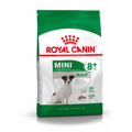 Penso Royal Canin Mini Adult 8+ Adulto Milho 2 kg