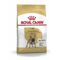 Penso Royal Canin French Bulldog Adulto 9 kg
