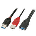 Cabo USB Lindy 31112 USB 3.0 50 cm