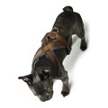 Arnês para Cães Hunter London Comfort Xs-s 39-47 cm Castanho