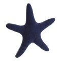 Brinquedo para Cães Hunter Skagen Azul Escuro Estrela do Mar