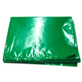 Plástico para Disfarces 65x90cm Verde  25 Un.