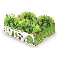 Conjunto de Cultivo Batlle Baby Leaves Saladas 40 X 29 X 10,5 cm 2,6 kg