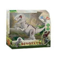 Dinossauro Multicolor