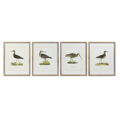 Pintura Dkd Home Decor Pássaros (55 X 2.5 X 70 cm) (4 Pcs)