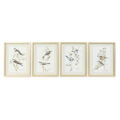 Pintura Dkd Home Decor Pássaros (35 X 2.5 X 45 cm) (4 Pcs)