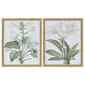 Pintura Dkd Home Decor Plantas Botânicas (2 Pcs) (43 X 3 X 53 cm)
