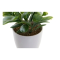 Planta Decorativa Dkd Home Decor Vermelho Verde Grés Polipropileno (pp) (2 Pcs) (13 X 11 X 17.5 cm)