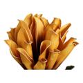 Flores Decorativas Dkd Home Decor Amarelo Laranja Eva (acetato Vinílico Etileno) (2 Pcs)