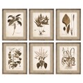 Pintura Dkd Home Decor Plantas Botânicas (55 X 2.5 X 70 cm) (6 Pcs)
