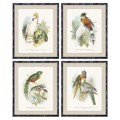 Pintura Dkd Home Decor Pássaros (50 X 2 X 60 cm) (4 Pcs)
